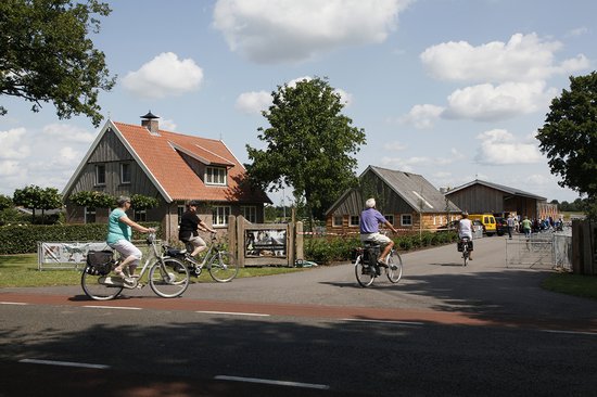 peters-farm-kalfsvlees-organiseert-open-dagen